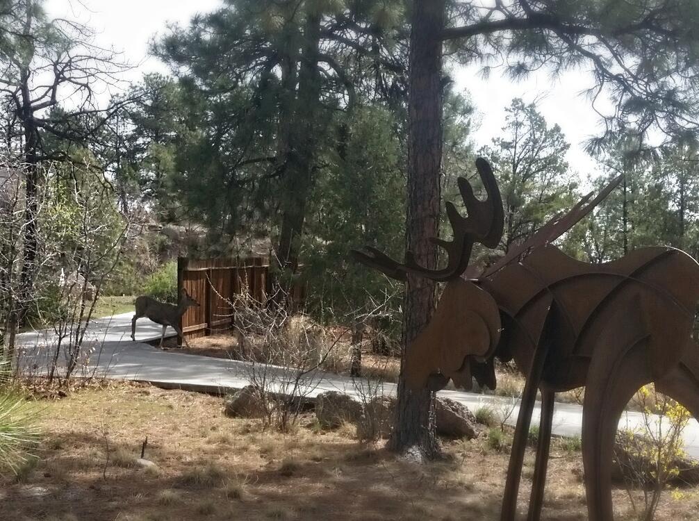 Pueblo Canyon Inn Los Alamos Luaran gambar
